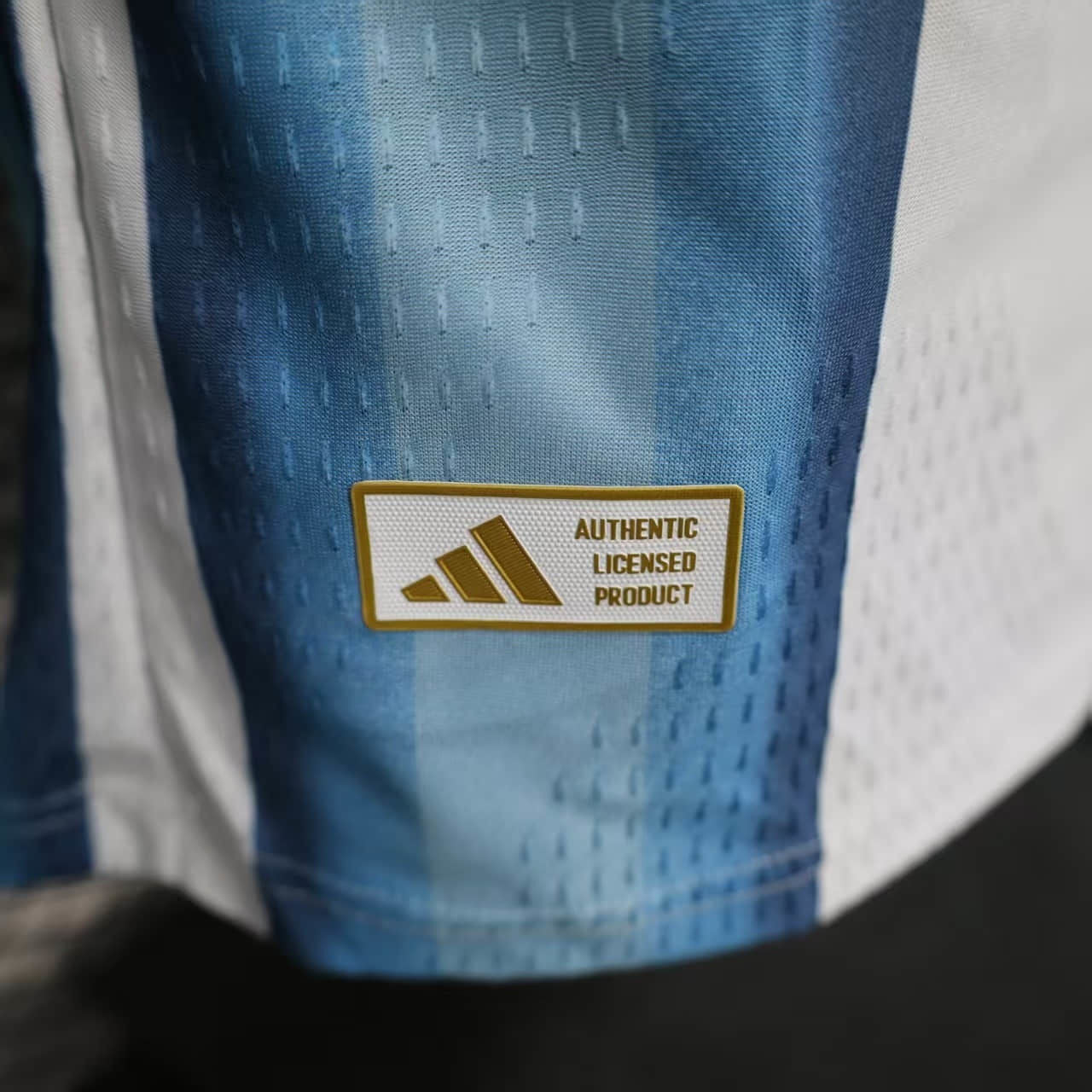 Camiseta Argentina 2025-26 Versión Jugador - Manga Larga - Local