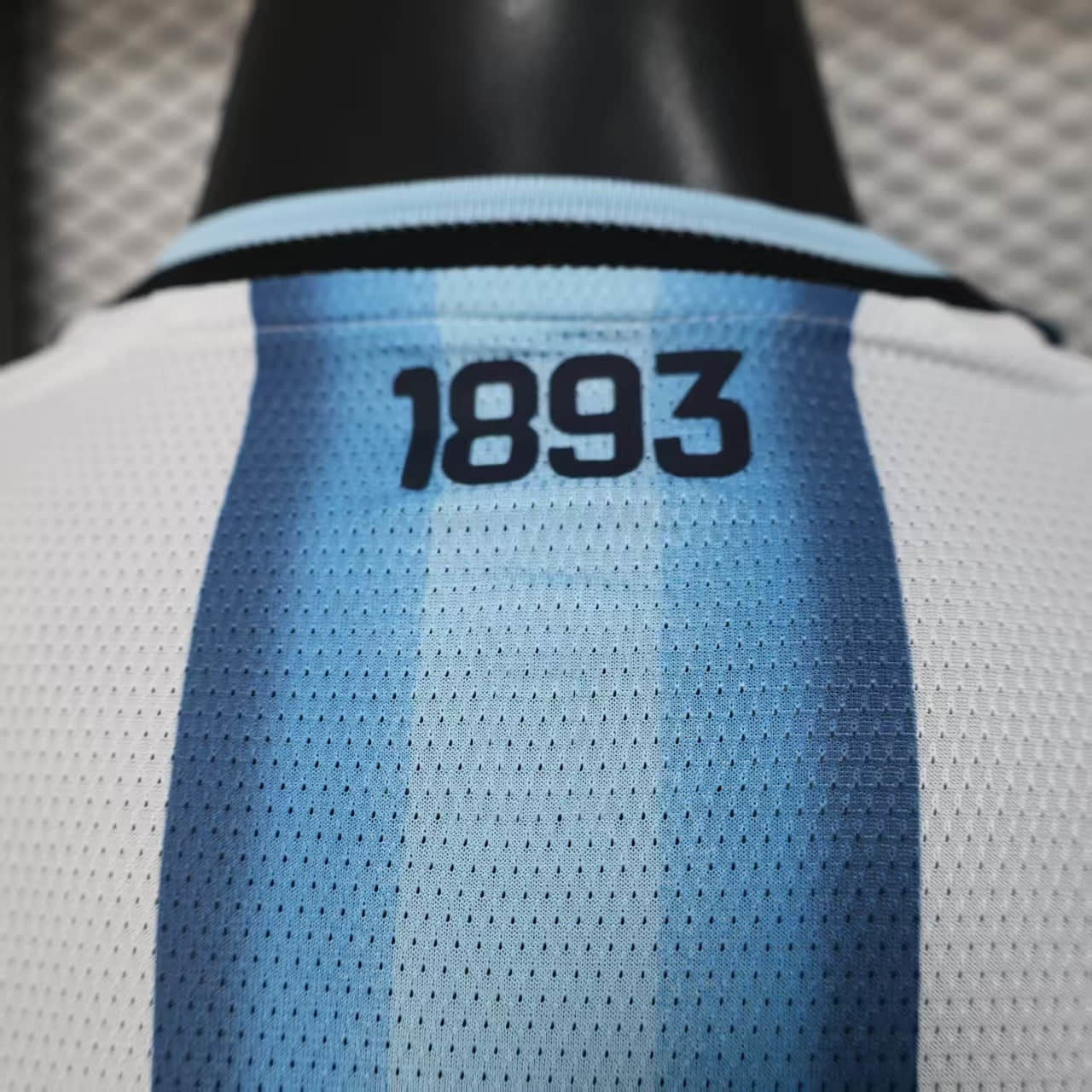 Camiseta Argentina 2025-26 Versión Jugador - Manga Larga - Local