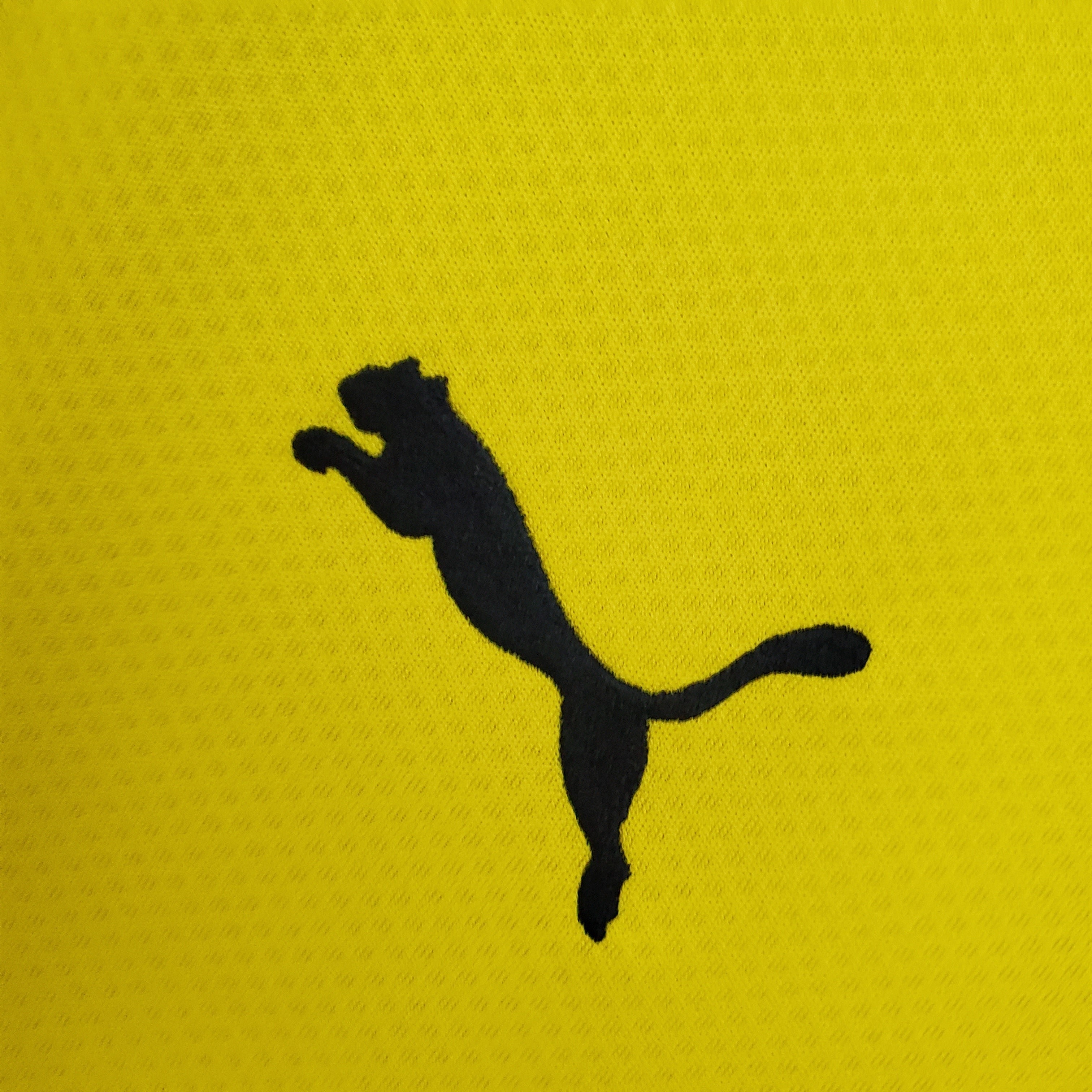 Camiseta Borussia Dortmund 2021-22 - Local