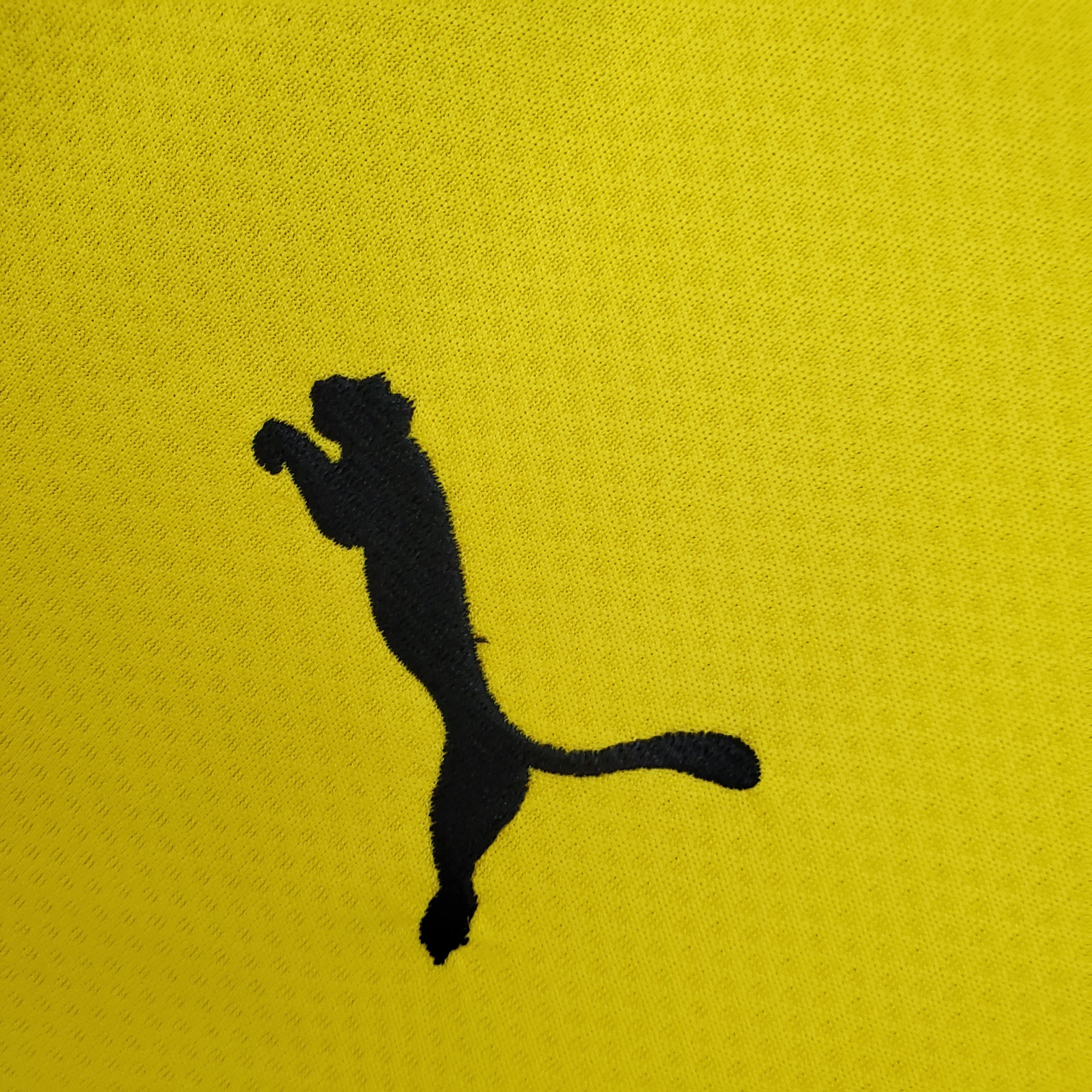 Camiseta Borussia Dortmund 2021-22 Manga Larga - Local