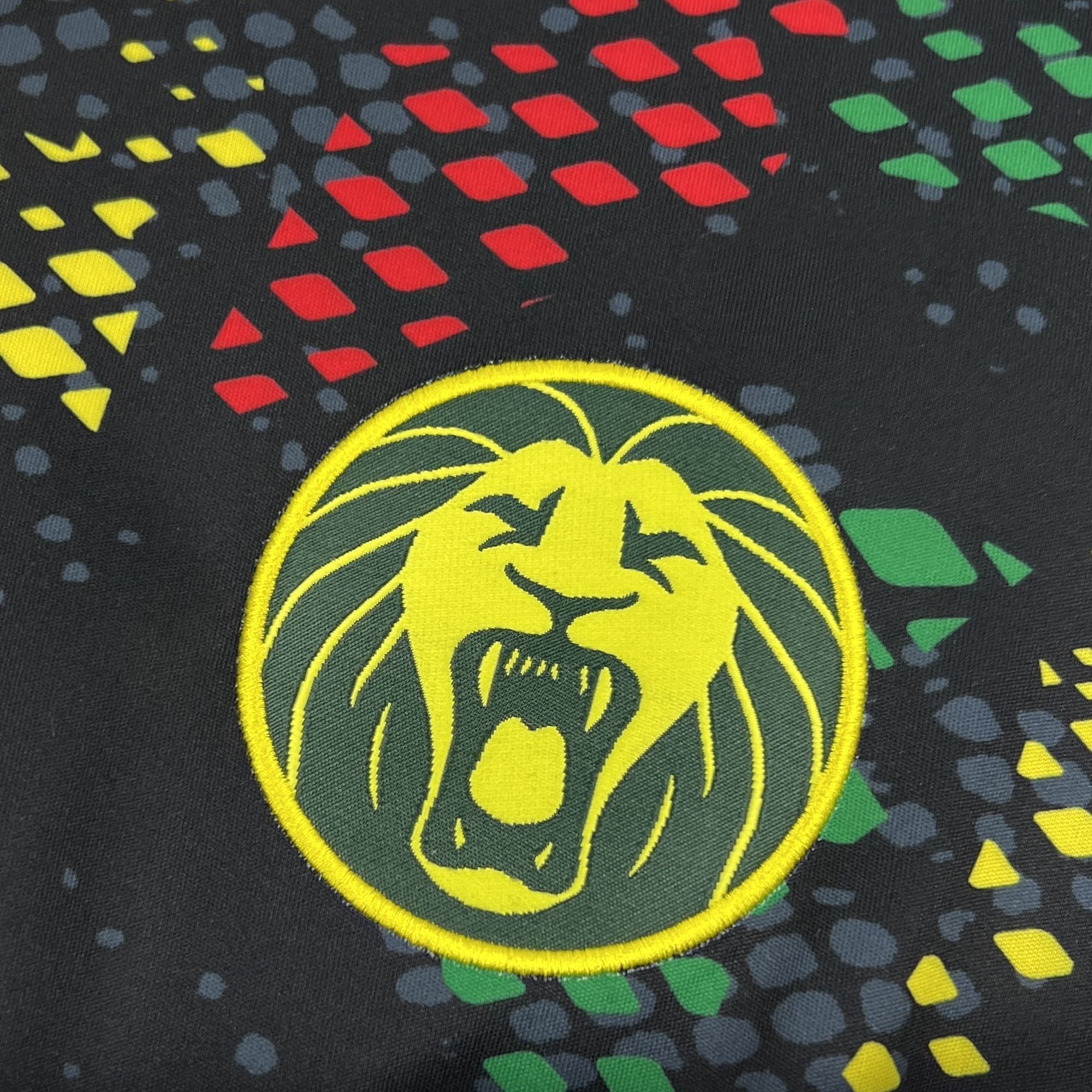 Camiseta Camerún 2026 - Edición Especial