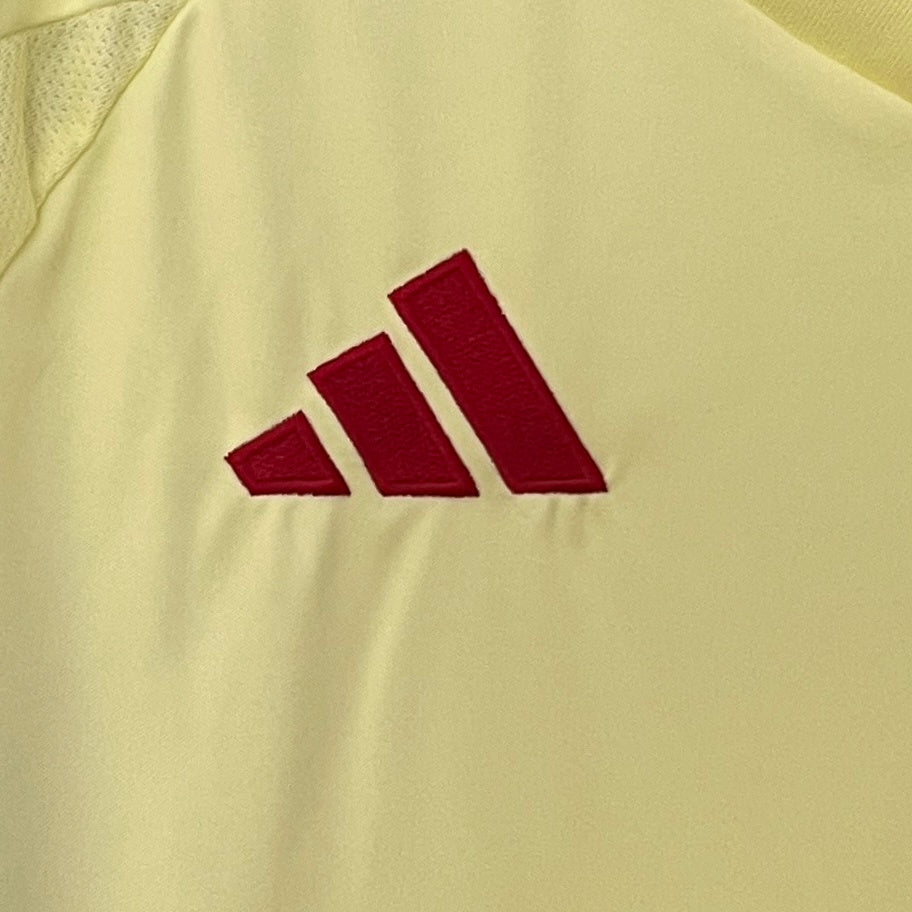 Camiseta España 2024 - Visitante