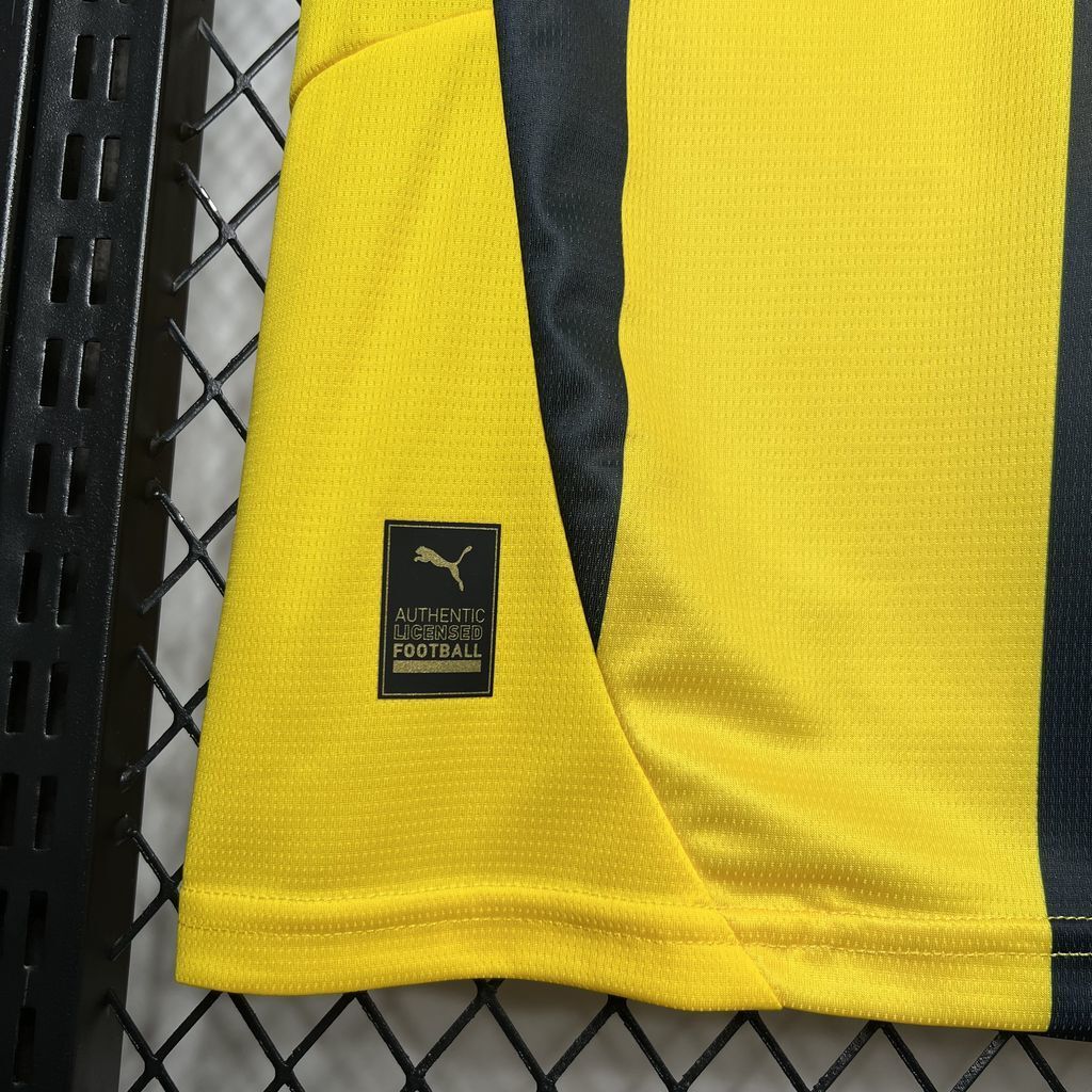 Camiseta Fenerbahce 2024-25 - Local