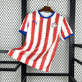 Camiseta Paraguay Mundial 2026 - Local