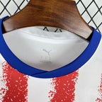 Camiseta Paraguay Mundial 2026 - Local