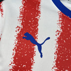 Camiseta Paraguay Mundial 2026 - Local