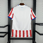 Camiseta Paraguay Mundial 2026 - Local