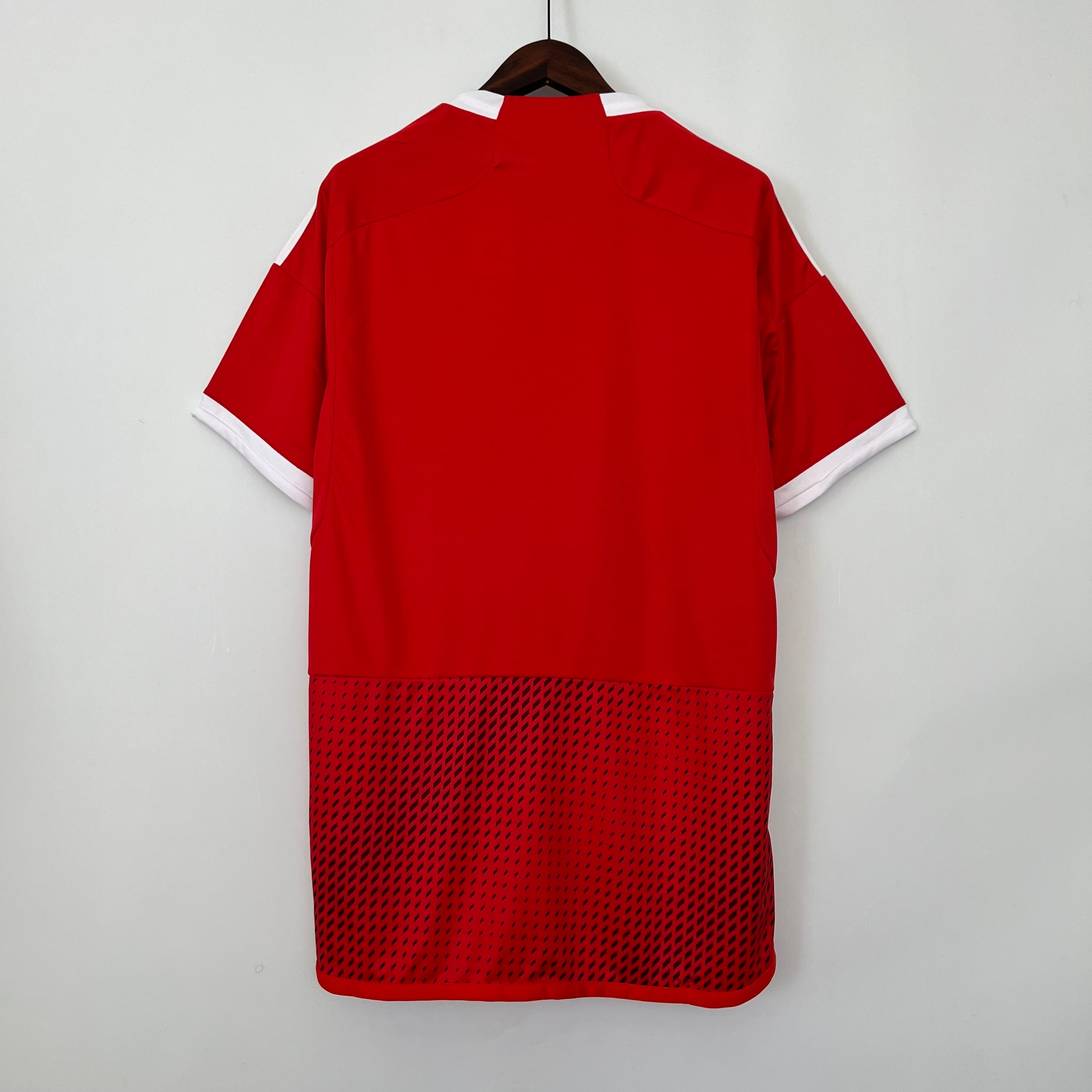 Camiseta Perú 2023 - Visitante