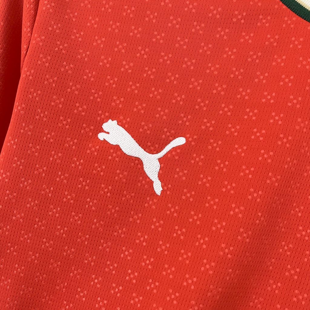 Camiseta Portugal 2025 Manga Larga - Local