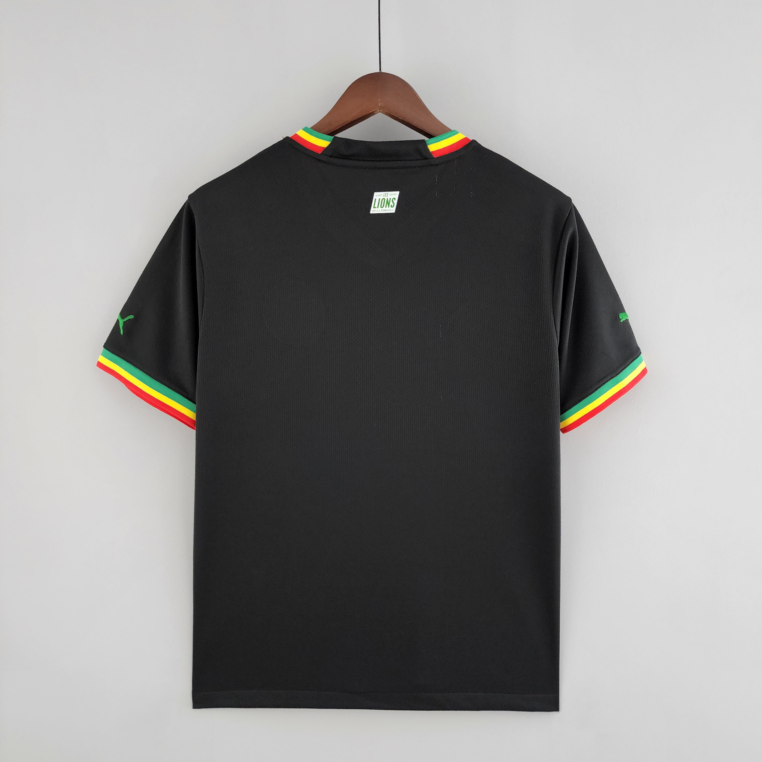 Camiseta Senegal 2022 - Visitante